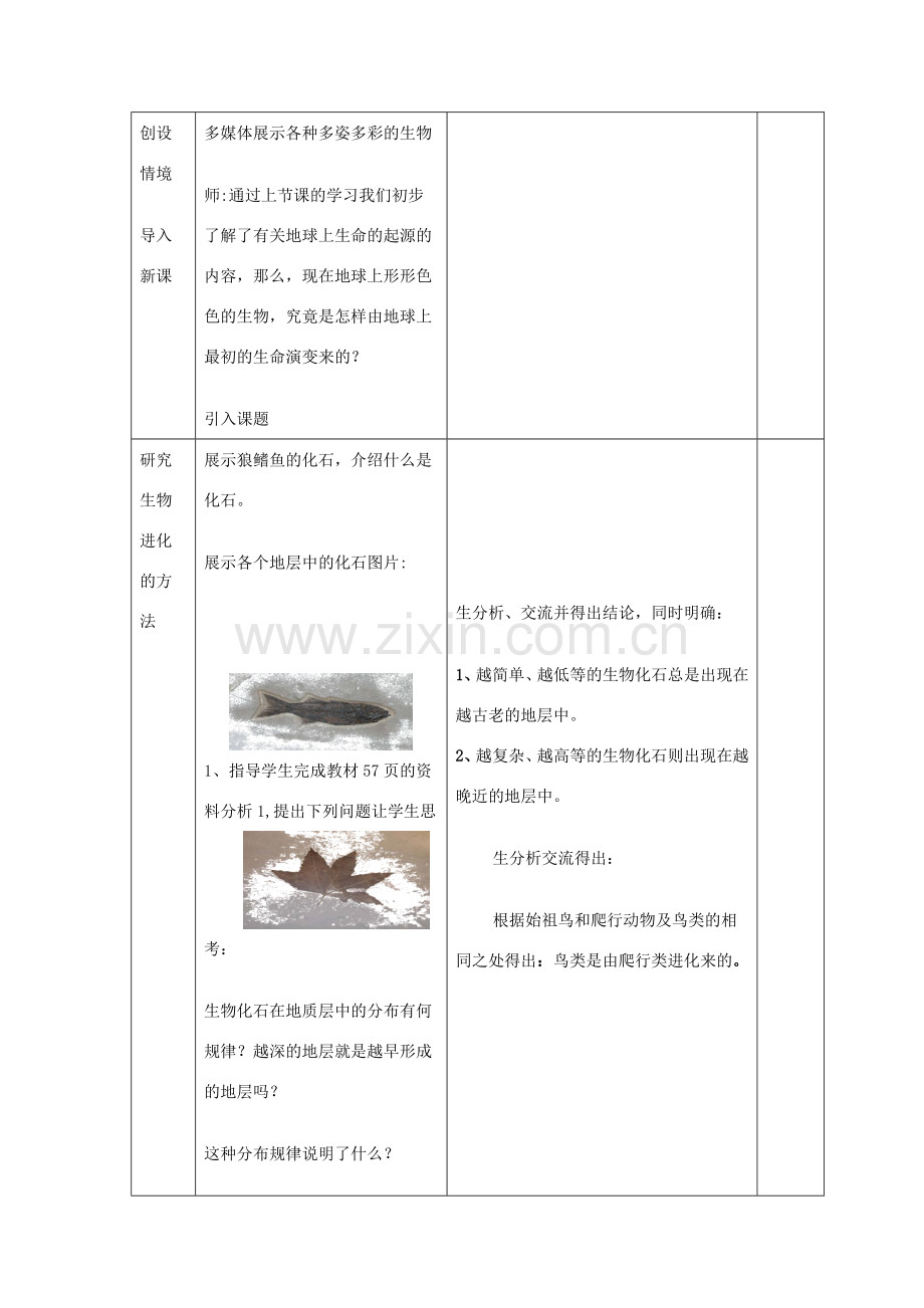 八年级生物下册 7.3.2 生物进化的历程教案4 （新版）新人教版.doc_第2页