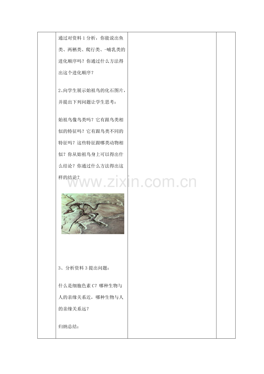 八年级生物下册 7.3.2 生物进化的历程教案4 （新版）新人教版.doc_第3页