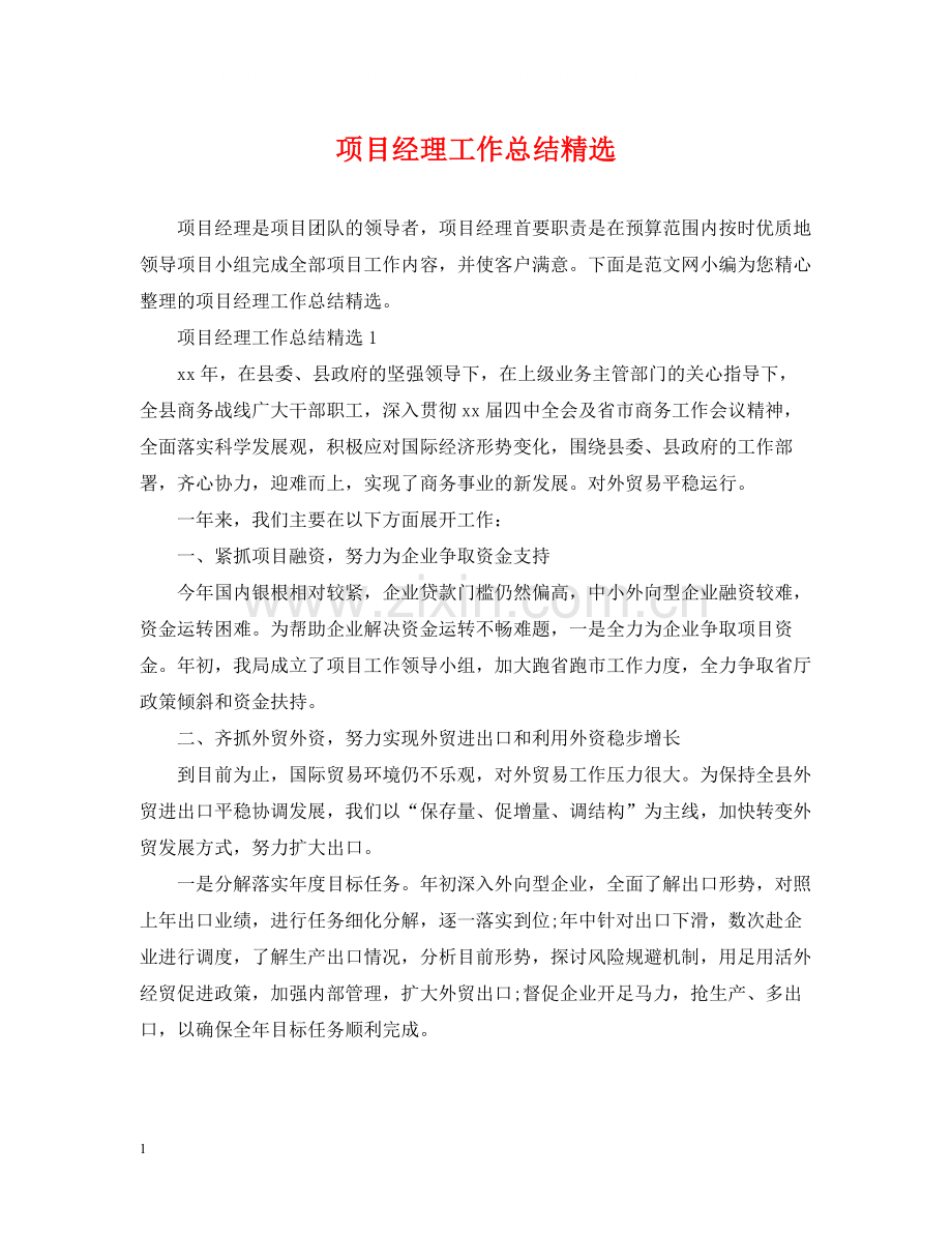 项目经理工作总结.docx_第1页