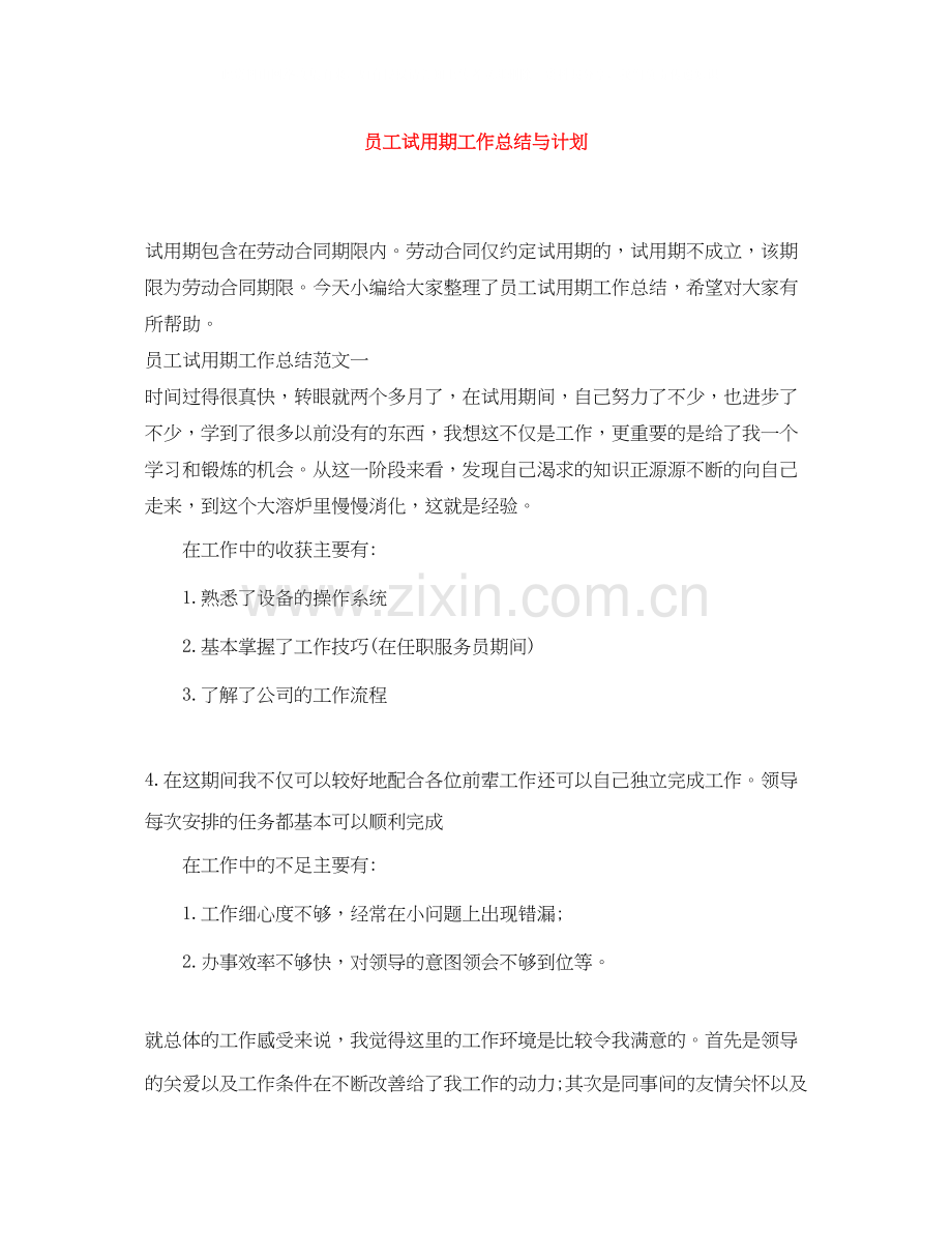 员工试用期工作总结与计划.docx_第1页