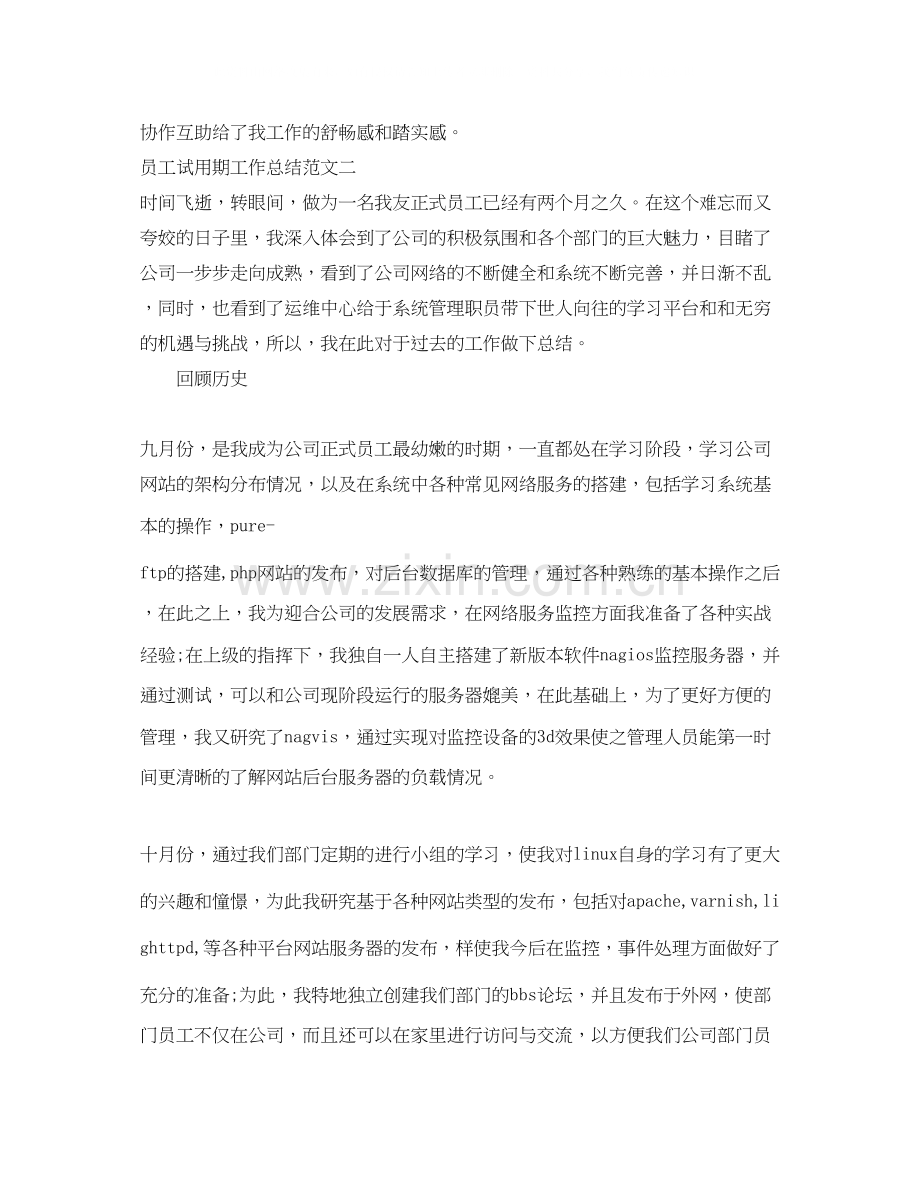 员工试用期工作总结与计划.docx_第2页