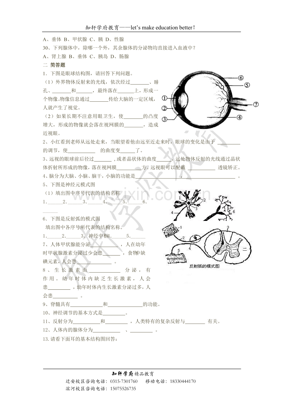 第四章合理用脑高效学习试题.docx_第3页