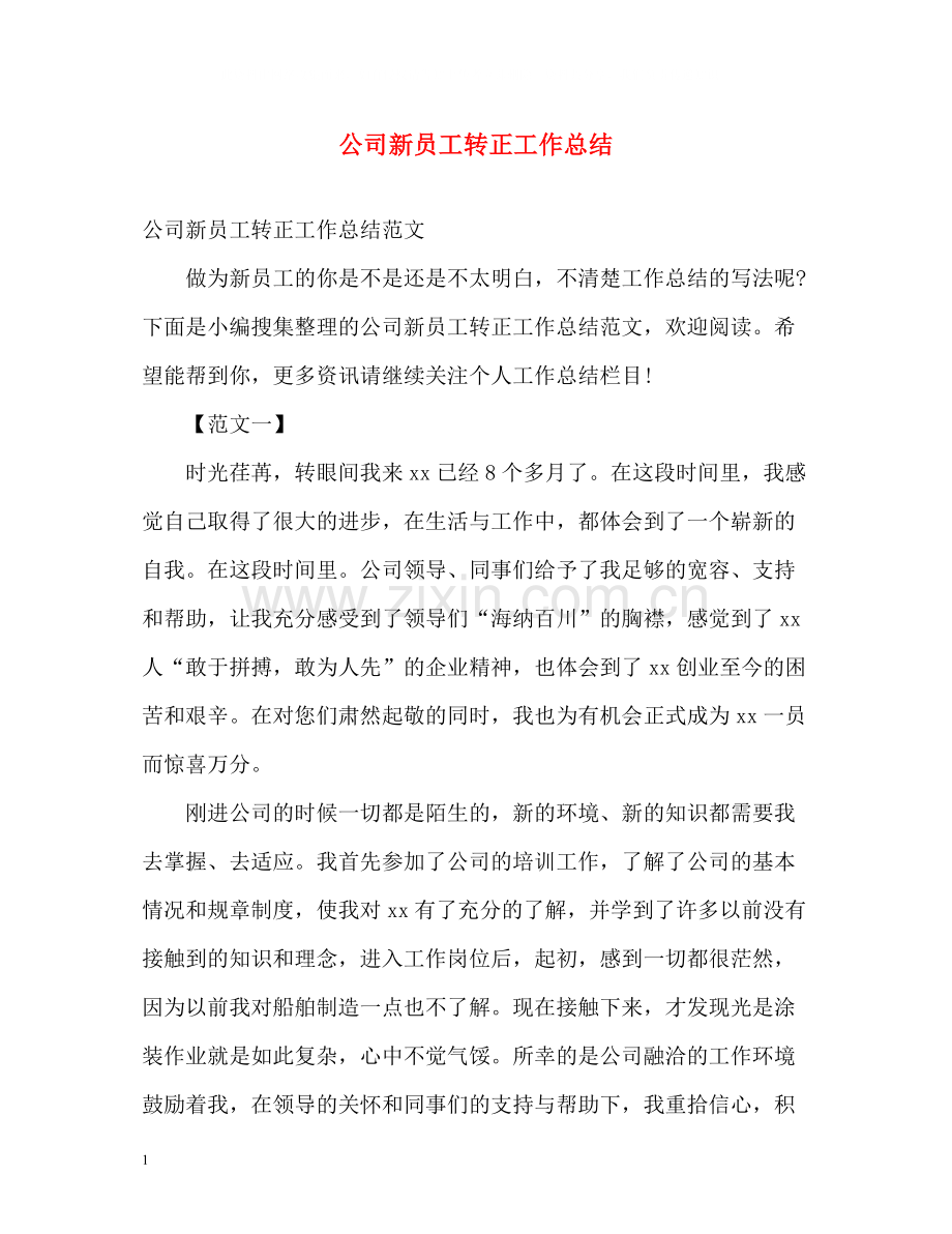 公司新员工转正工作总结.docx_第1页