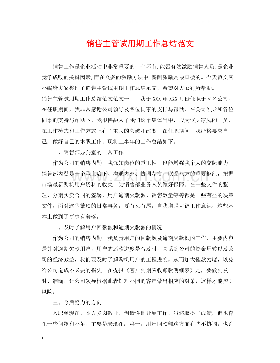 销售主管试用期工作总结范文.docx_第1页