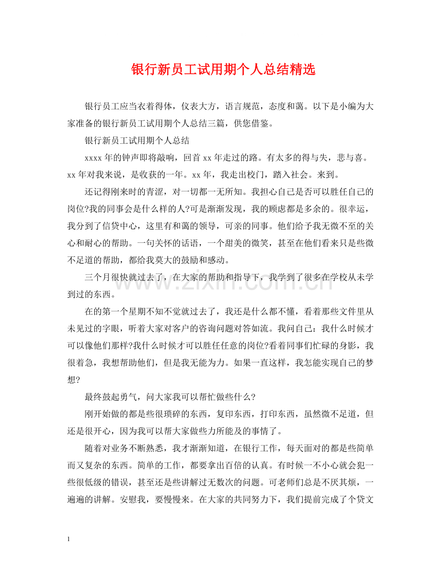 银行新员工试用期个人总结.docx_第1页