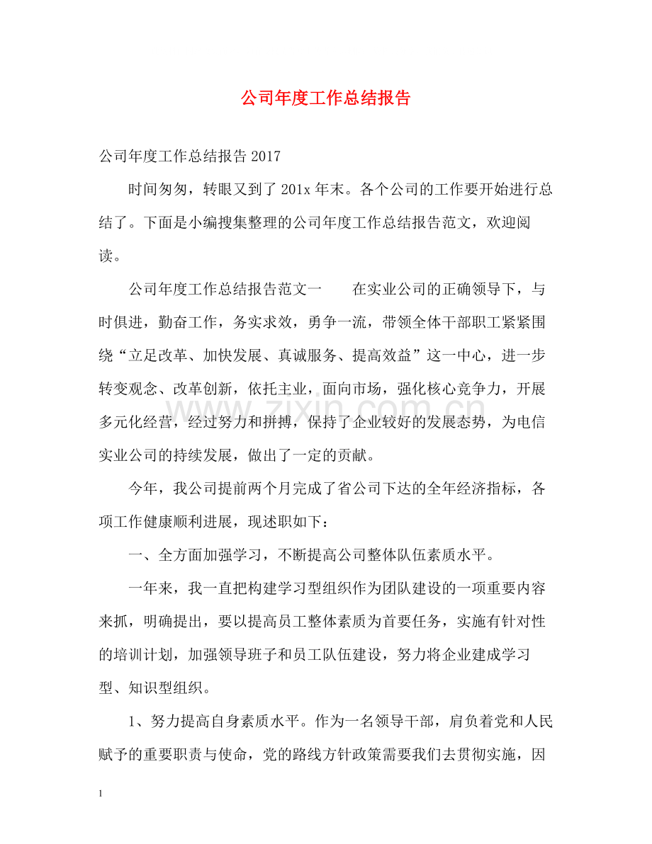 公司年度工作总结报告.docx_第1页