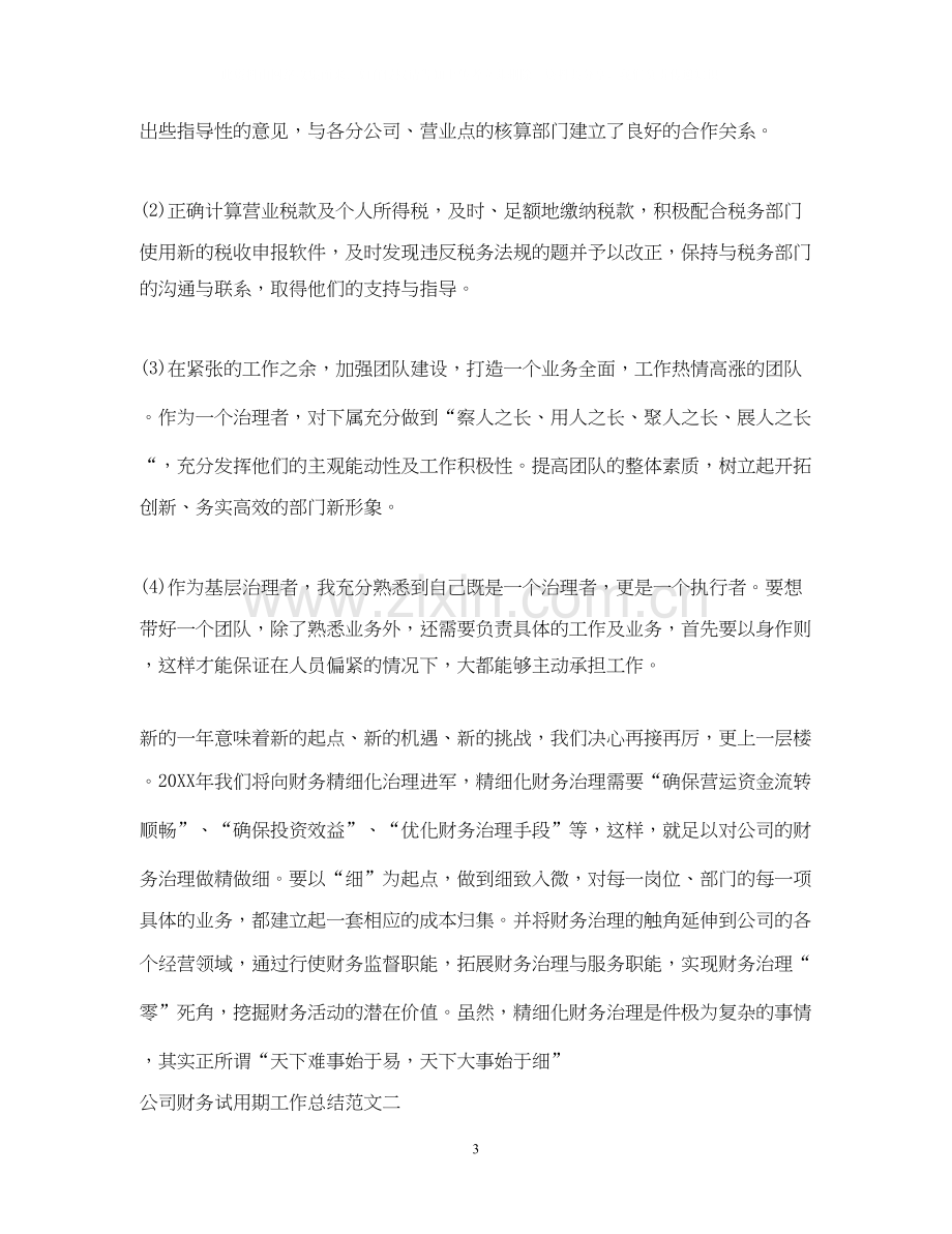 公司财务试用期工作总结及计划.docx_第3页