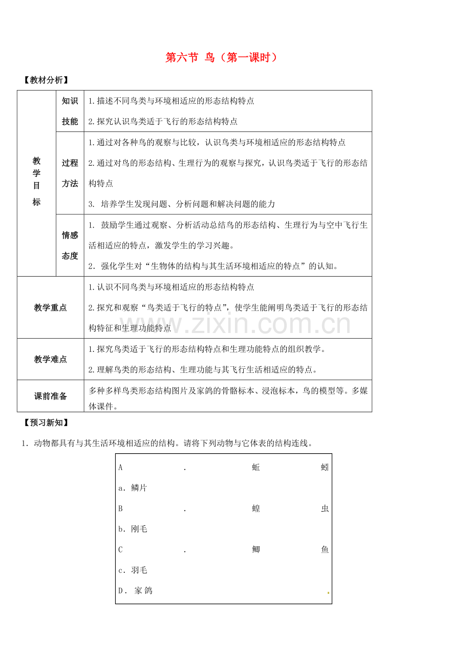 山东省宁阳县第二十五中学八年级生物上册《第五单元 第一章 第六节 鸟（第一课时）》教案 （新版）新人教版.doc_第1页