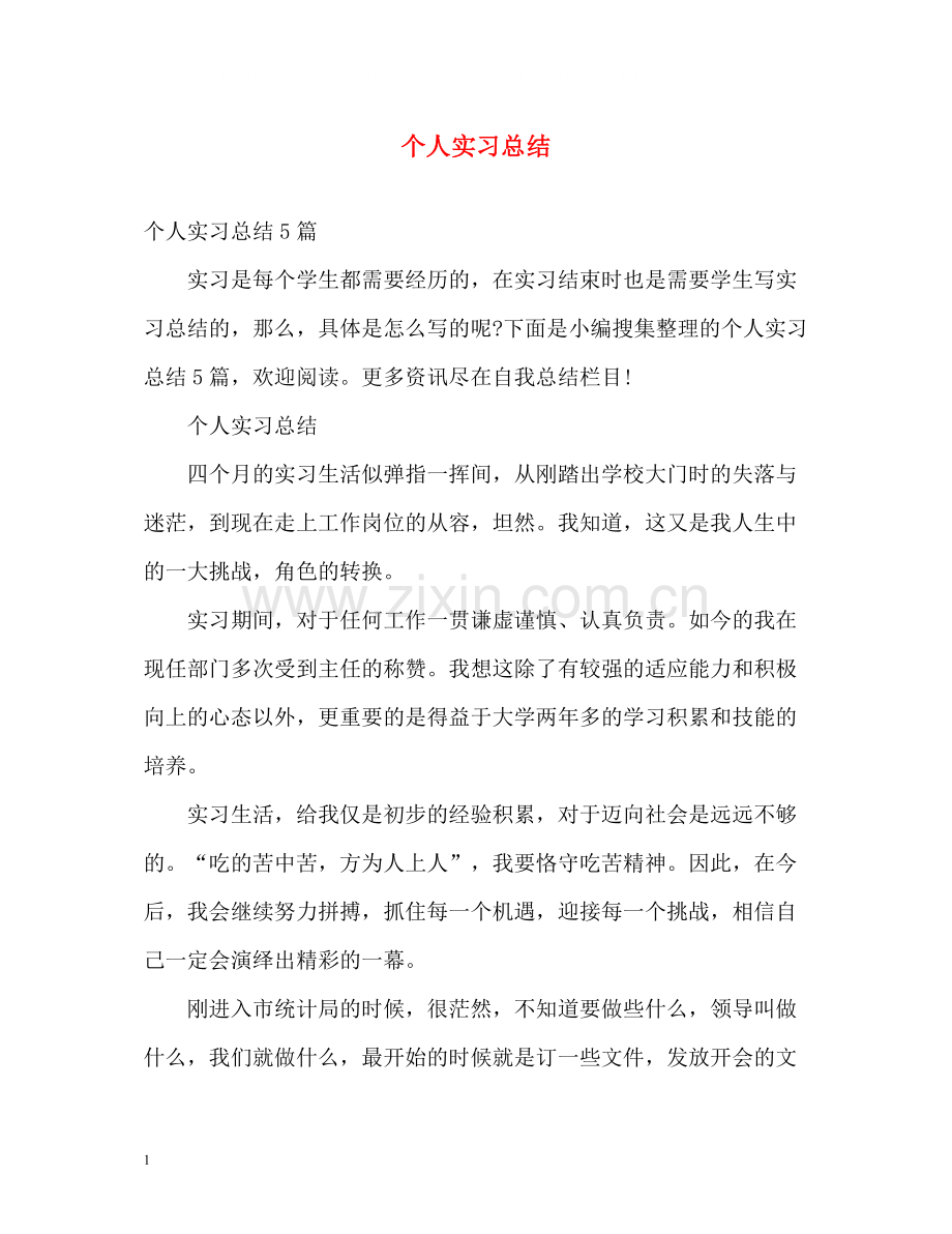 个人实习总结2.docx_第1页