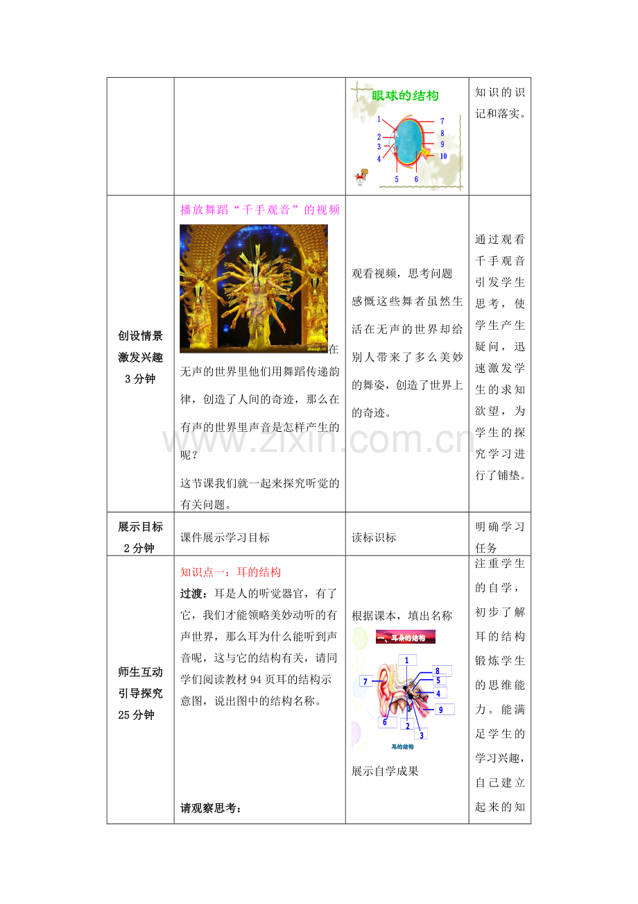 七年级生物下册 3.5.4 人体对周围世界的感知教案1 济南版.doc_第2页