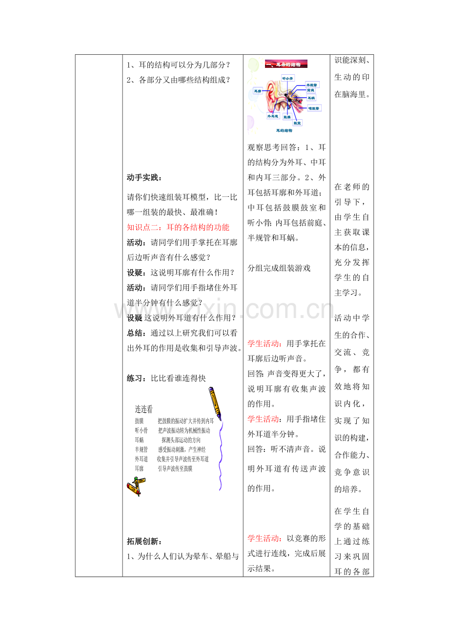 七年级生物下册 3.5.4 人体对周围世界的感知教案1 济南版.doc_第3页