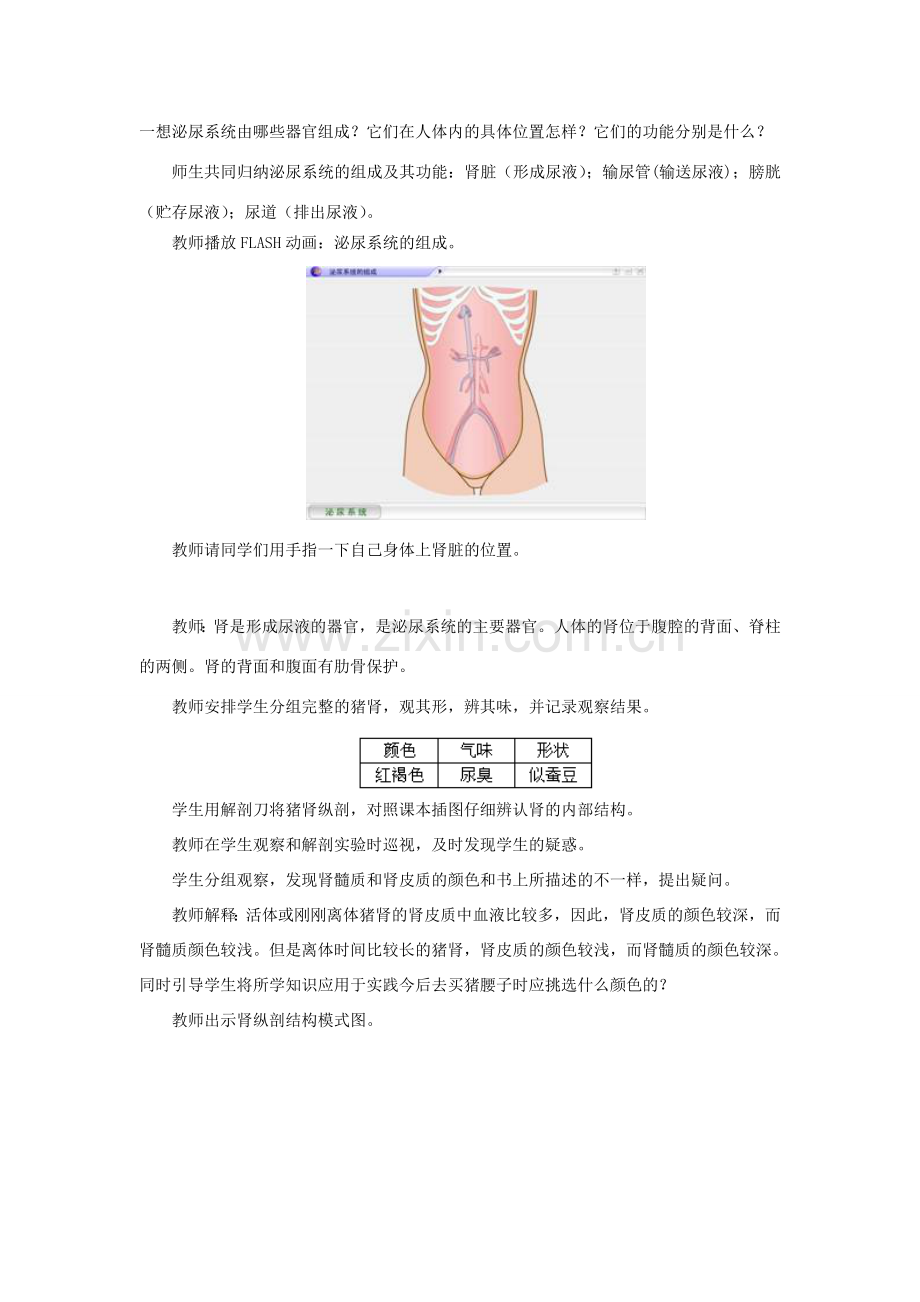 七年级生物下册 第十一章 第一节 人体泌尿系统的组成教案1 （新版）苏教版.doc_第2页