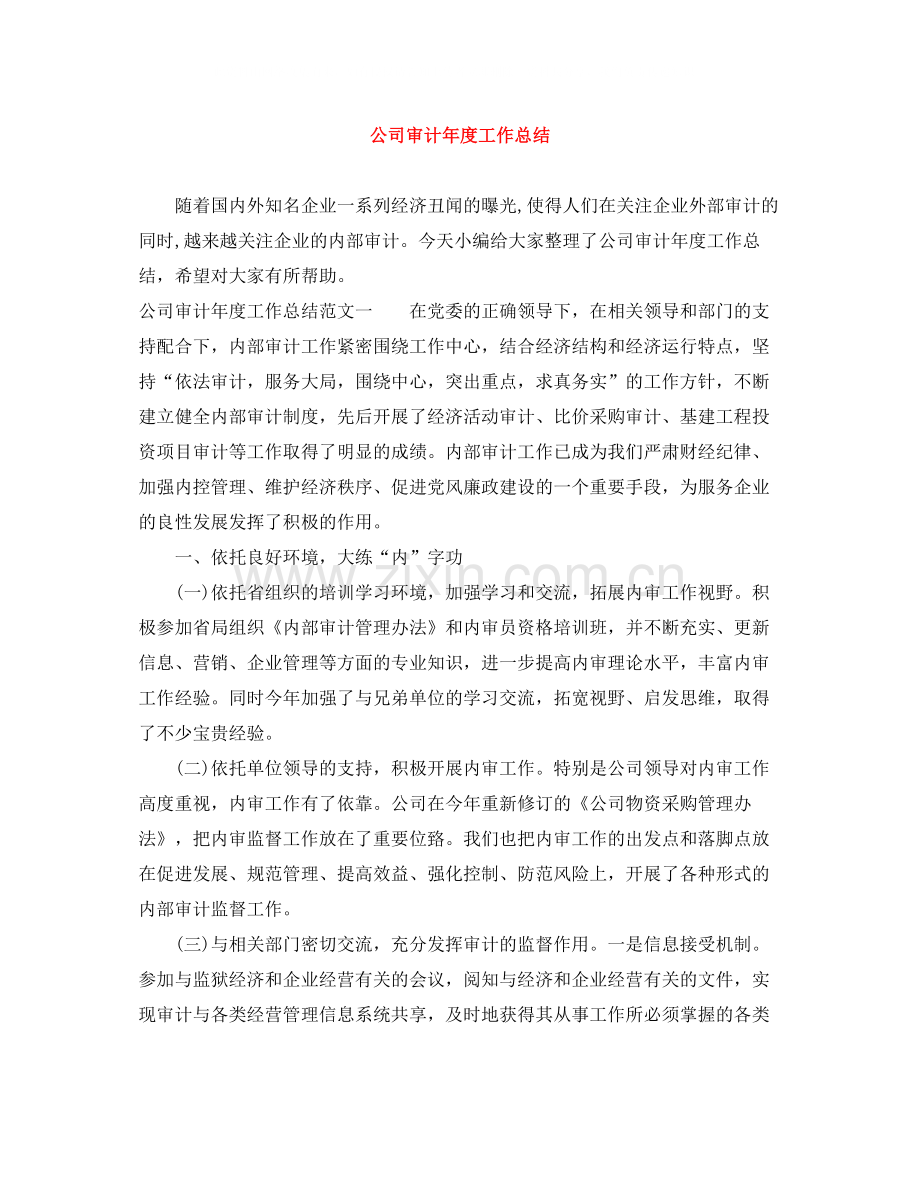 公司审计年度工作总结.docx_第1页