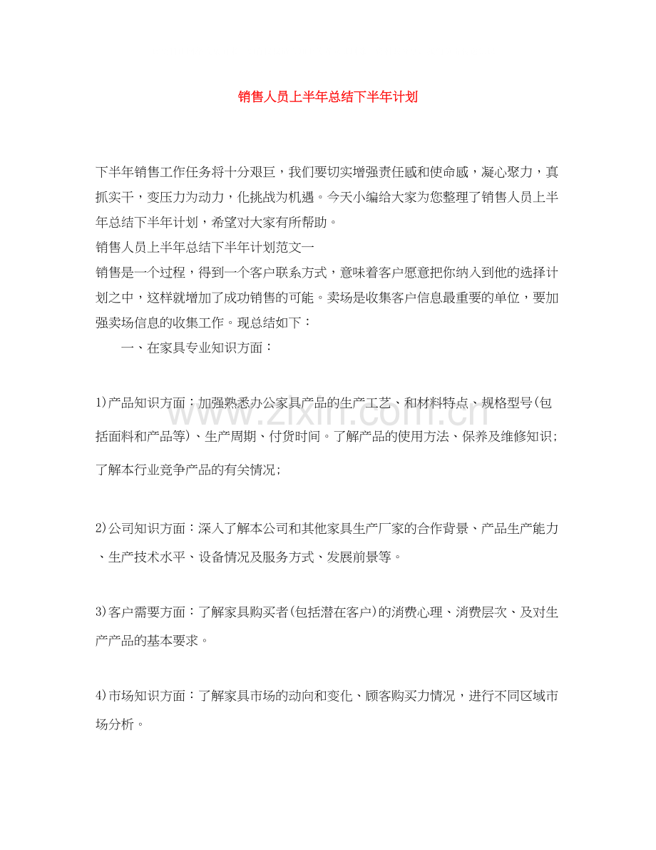 销售人员上半年总结下半年计划.docx_第1页