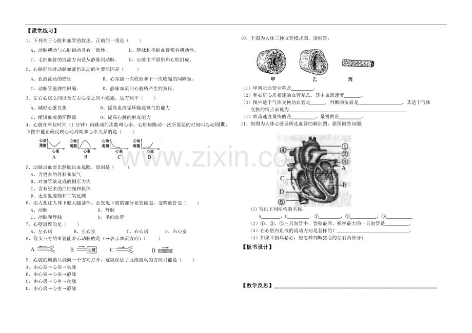 七年级生物下册 第三节《物质运输的器官》教学教案济南版.doc_第2页