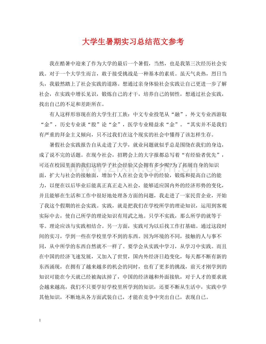 大学生暑期实习总结范文参考.docx_第1页