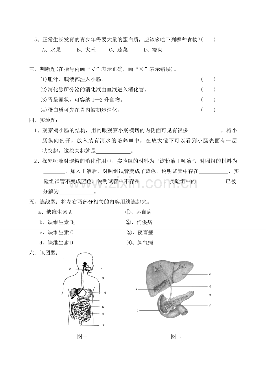 七年级生物下册 全套试教案 北师大版.doc_第3页