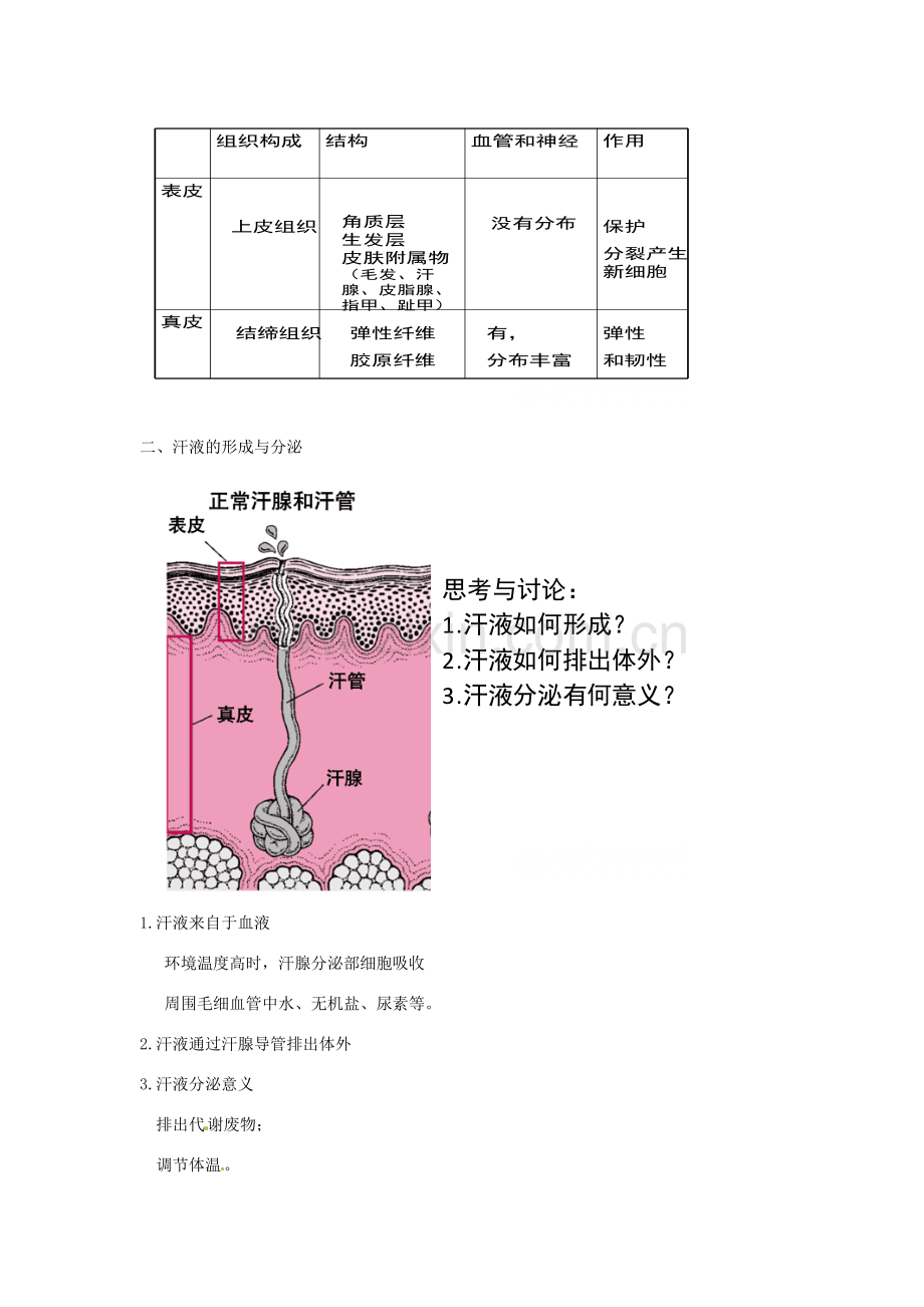 七年级生物下册 11.3 皮肤与汗液分泌教学设计 北师大版-北师大版初中七年级下册生物教案.doc_第2页