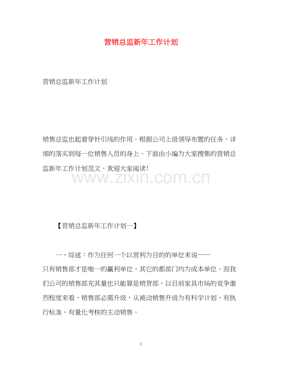 营销总监新年工作计划.docx_第1页