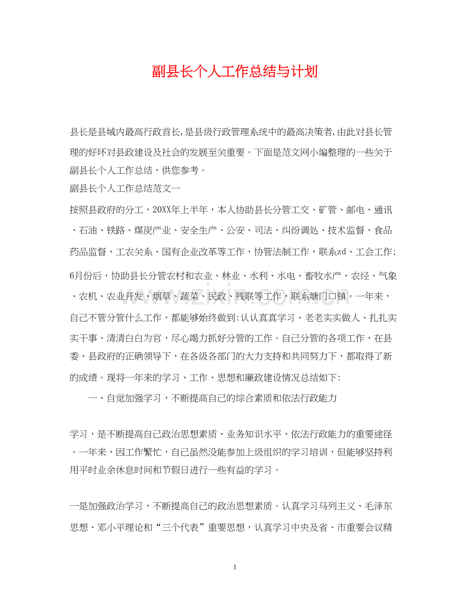 副县长个人工作总结与计划.docx_第1页