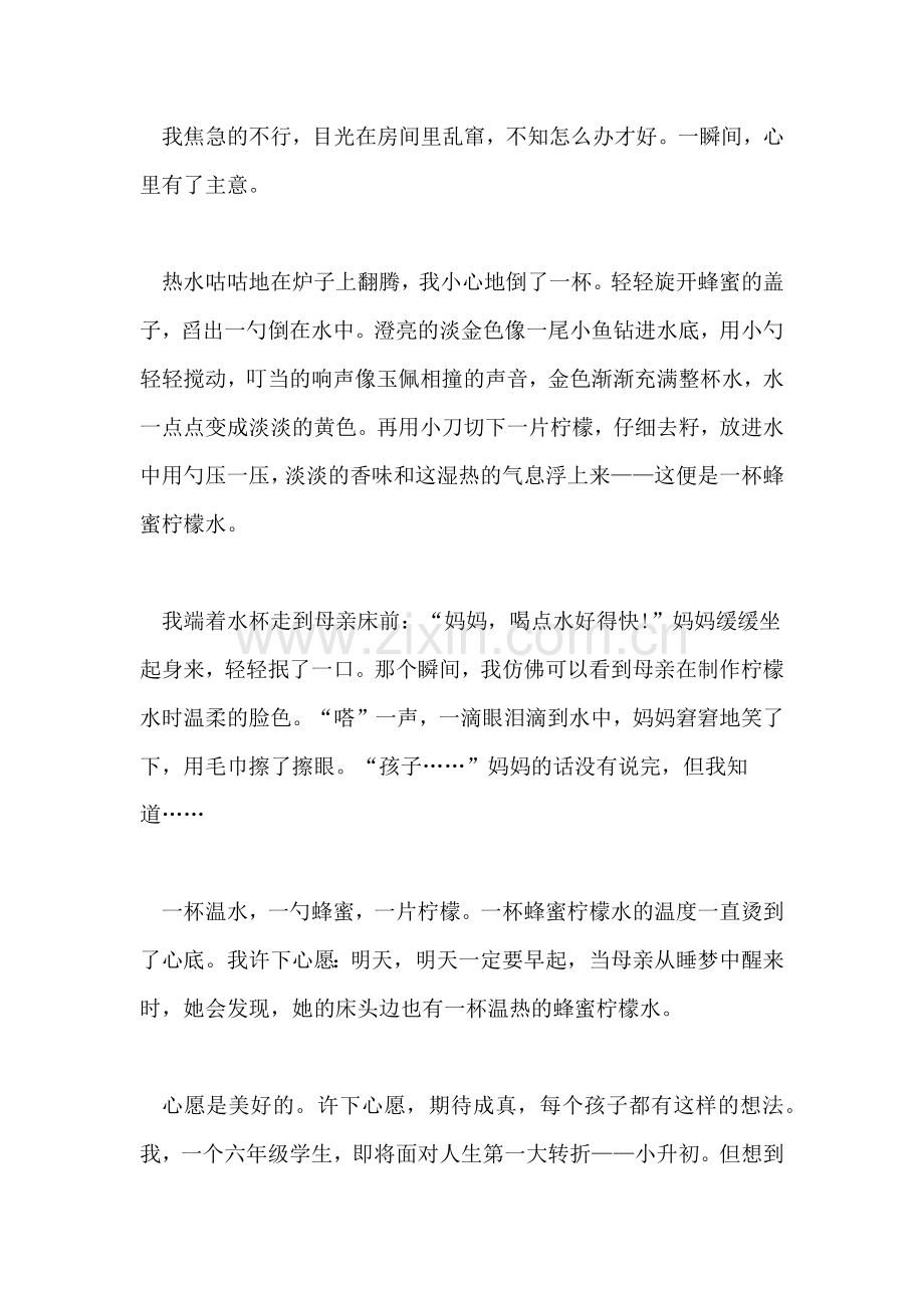 以心愿为主题的高中优秀作文「两篇」.doc_第2页