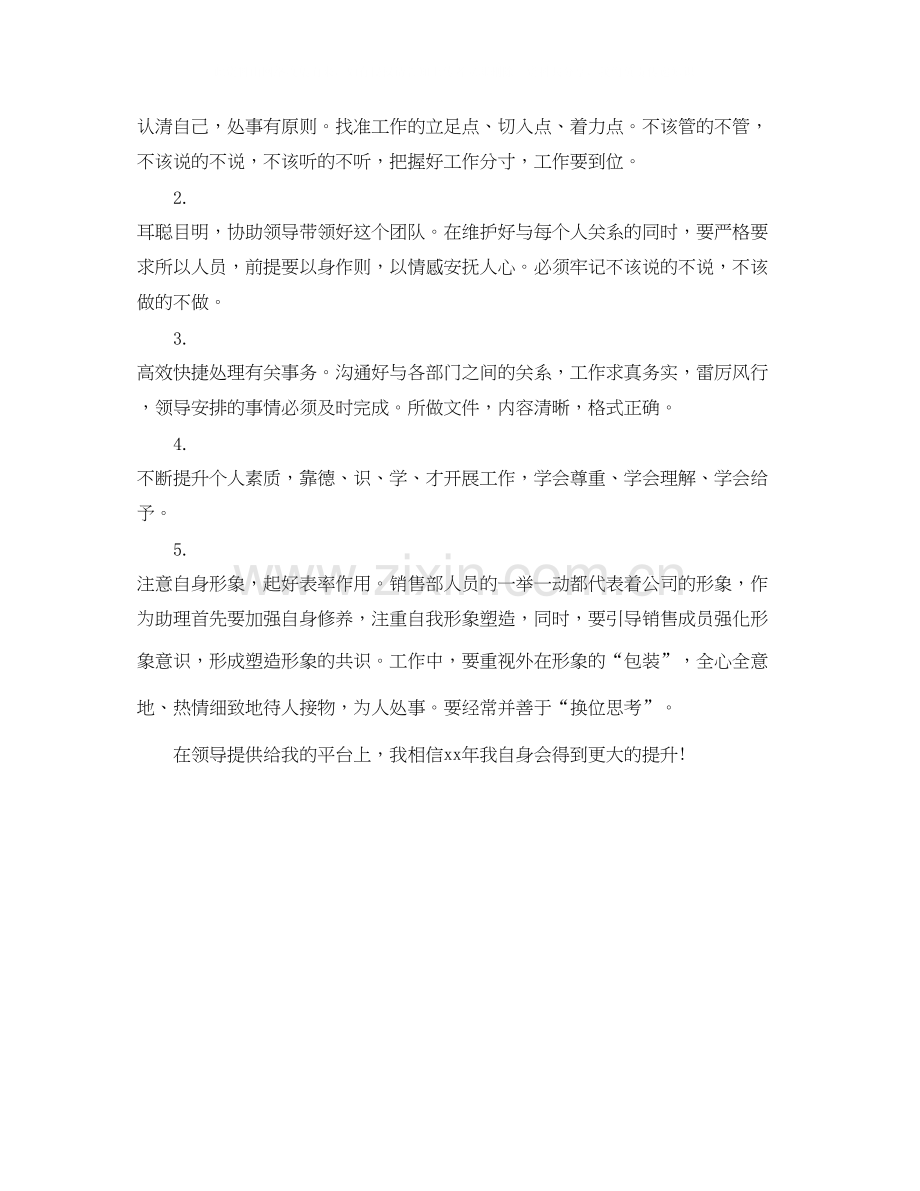 销售助理工作的计划范文.docx_第2页