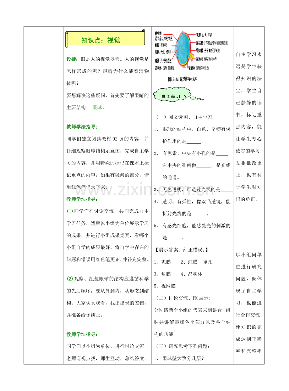 七年级生物下册 3.5.4 人体对周围世界的感知教案2 济南版.doc_第3页