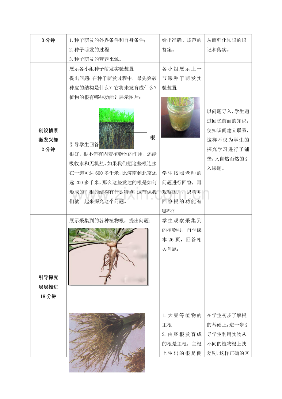 -八年级生物上册 4.1.5 根的结构和功能（第1课时）优秀教案 （新版）济南版-（新版）济南版初中八年级上册生物教案.doc_第2页