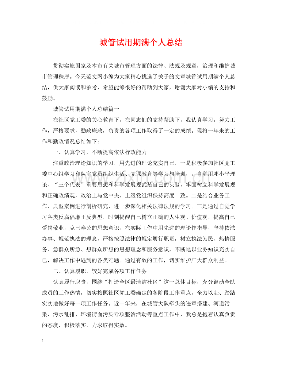 城管试用期满个人总结.docx_第1页