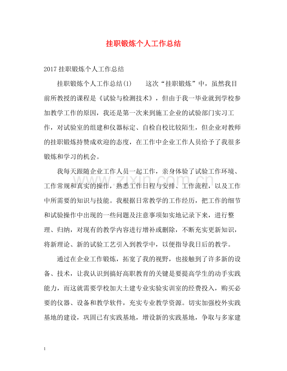 挂职锻炼个人工作总结.docx_第1页