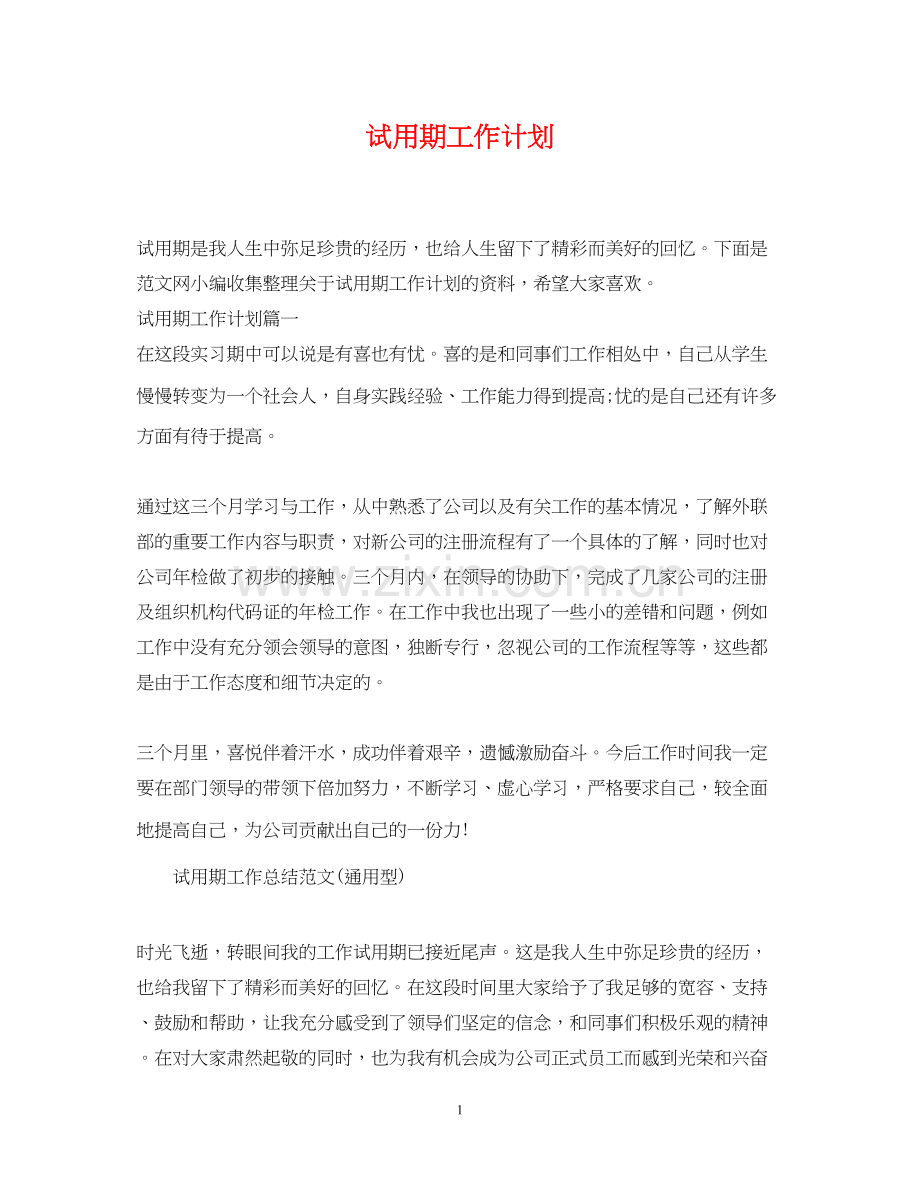 试用期工作计划.docx_第1页