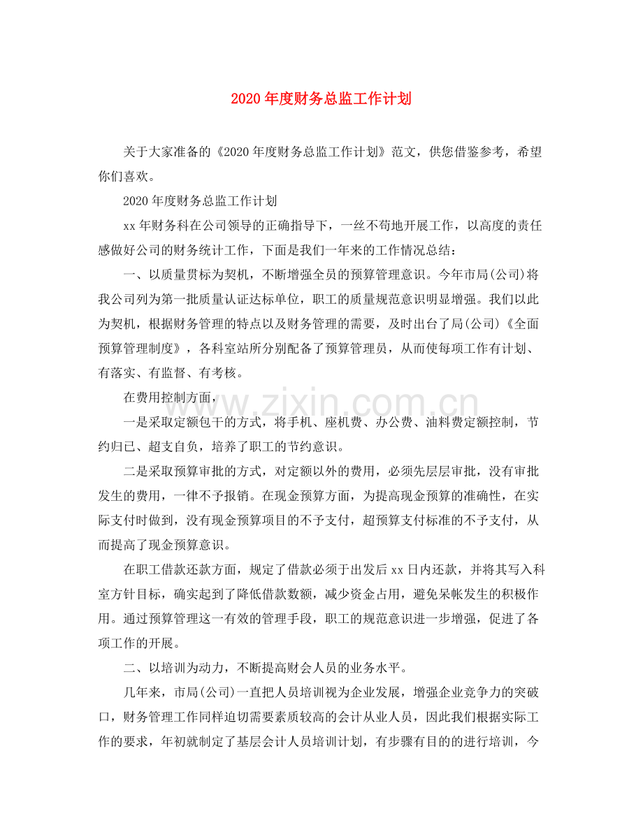 2020年度财务总监工作计划.docx_第1页