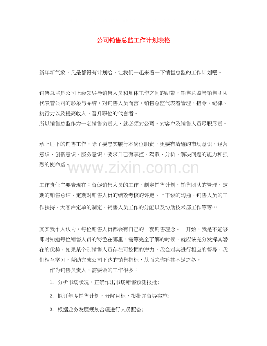 公司销售总监工作计划表格.docx_第1页