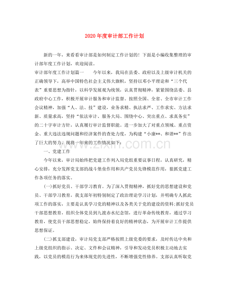 2020年度审计部工作计划.docx_第1页