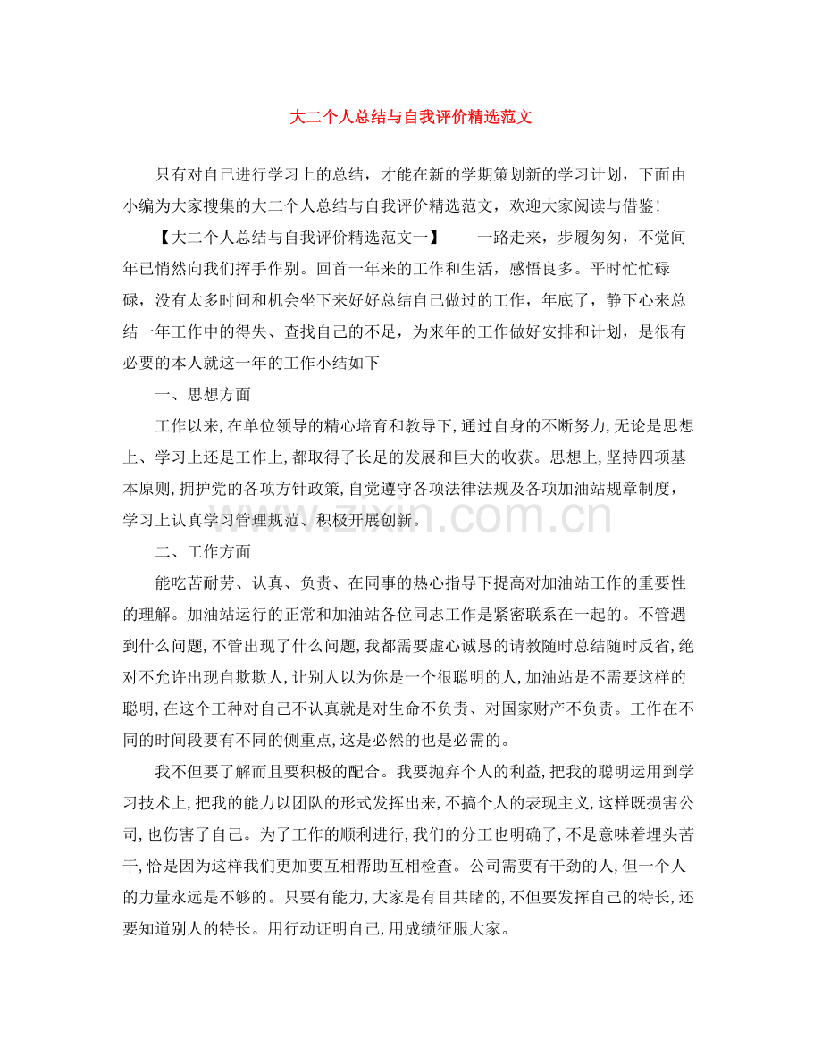 大二个人总结与自我评价范文.docx_第1页