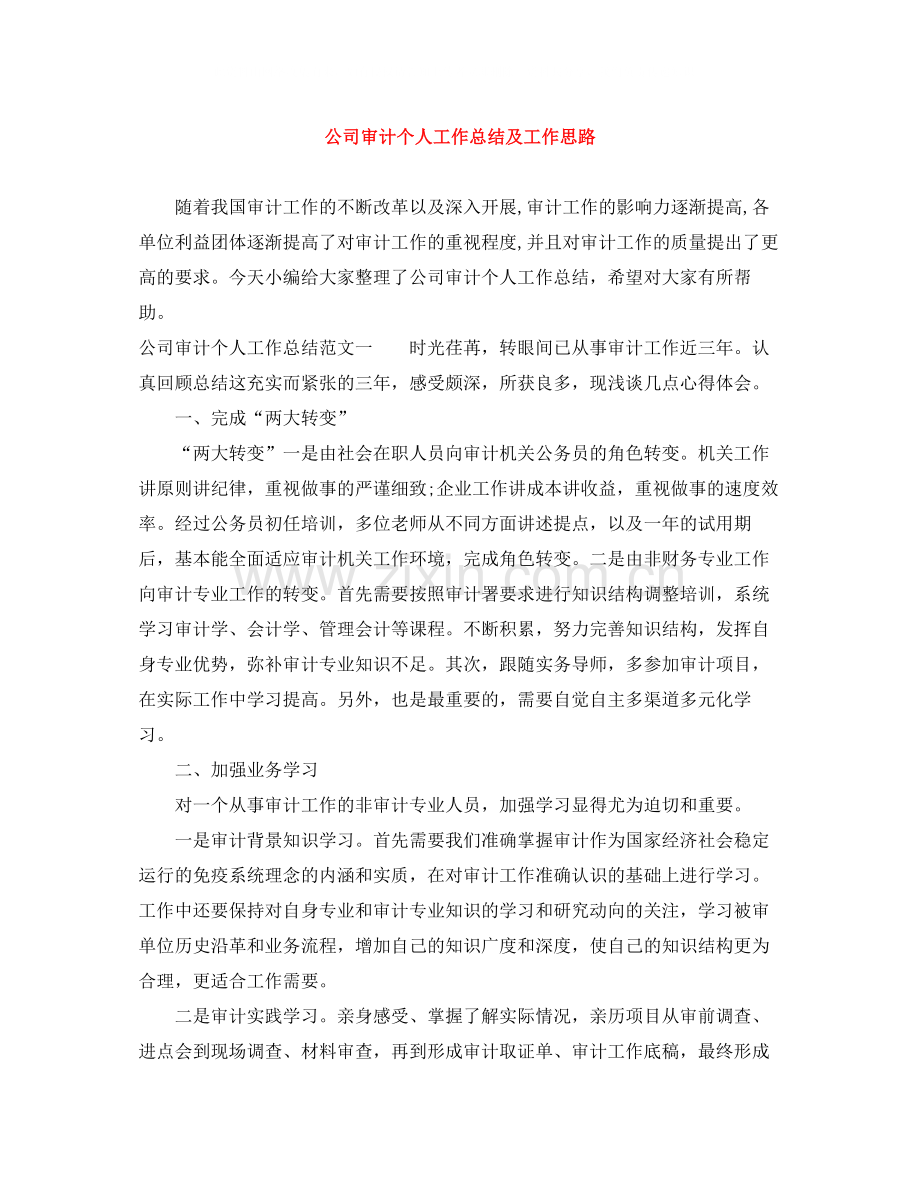 公司审计个人工作总结及工作思路.docx_第1页