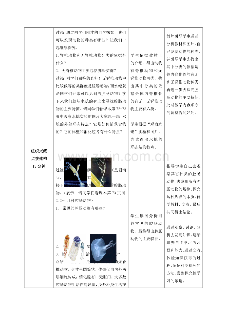 -七年级生物上册 2.2.1 无脊椎动物的主要类群（第1课时）优秀教案 （新版）济南版-（新版）济南版初中七年级上册生物教案.doc_第3页