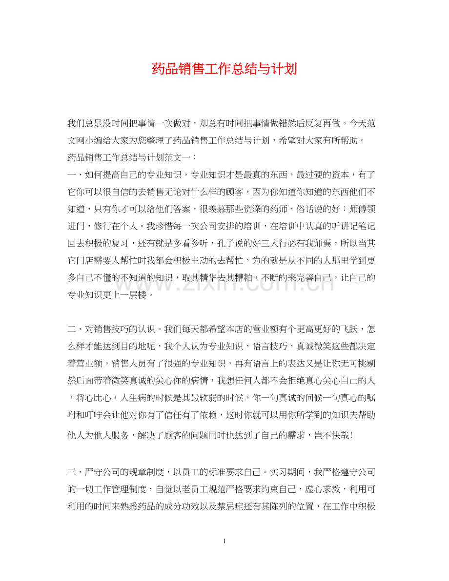 药品销售工作总结与计划.docx_第1页