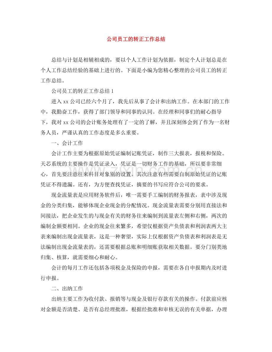 公司员工的转正工作总结.docx_第1页