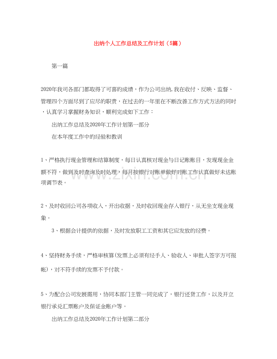 出纳个人工作总结及工作计划（5篇）.docx_第1页