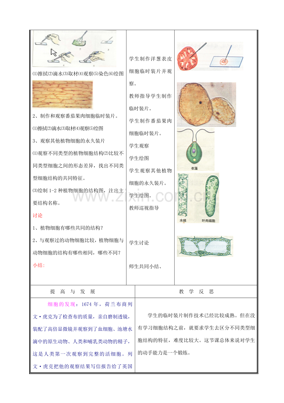 七年级生物上册 2.3.1细胞的基本结构和功能教案3 北师大版.doc_第3页