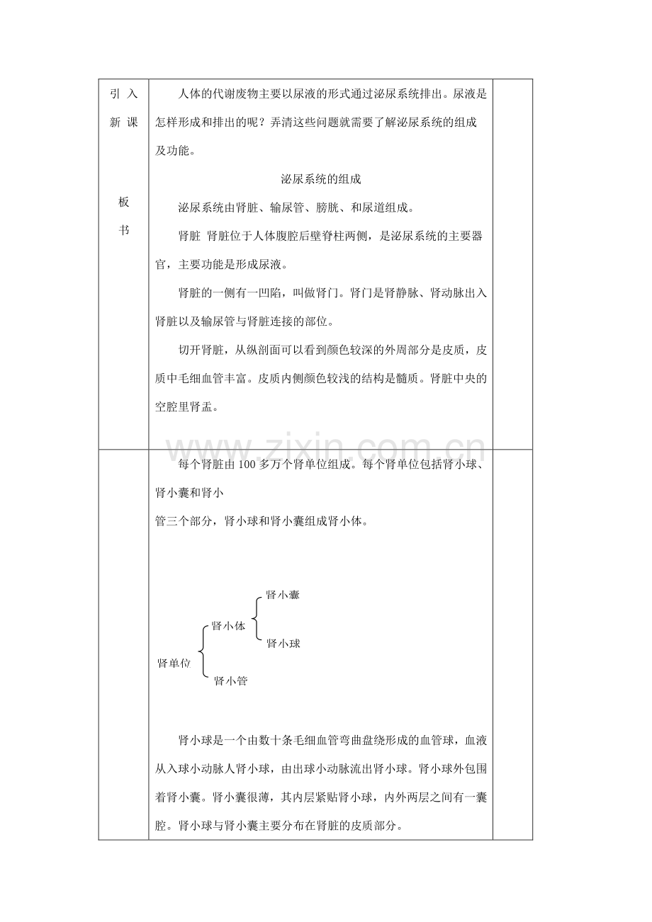 七年级生物下册 第11章 第2节《尿的形成与排出（第1课时）》教案 北师大版.doc_第2页