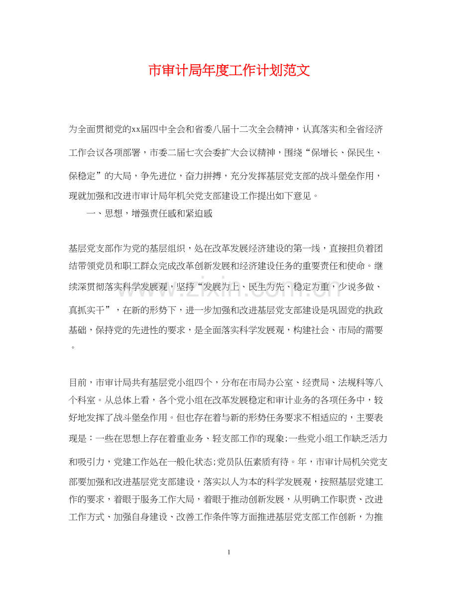 市审计局年度工作计划范文.docx_第1页