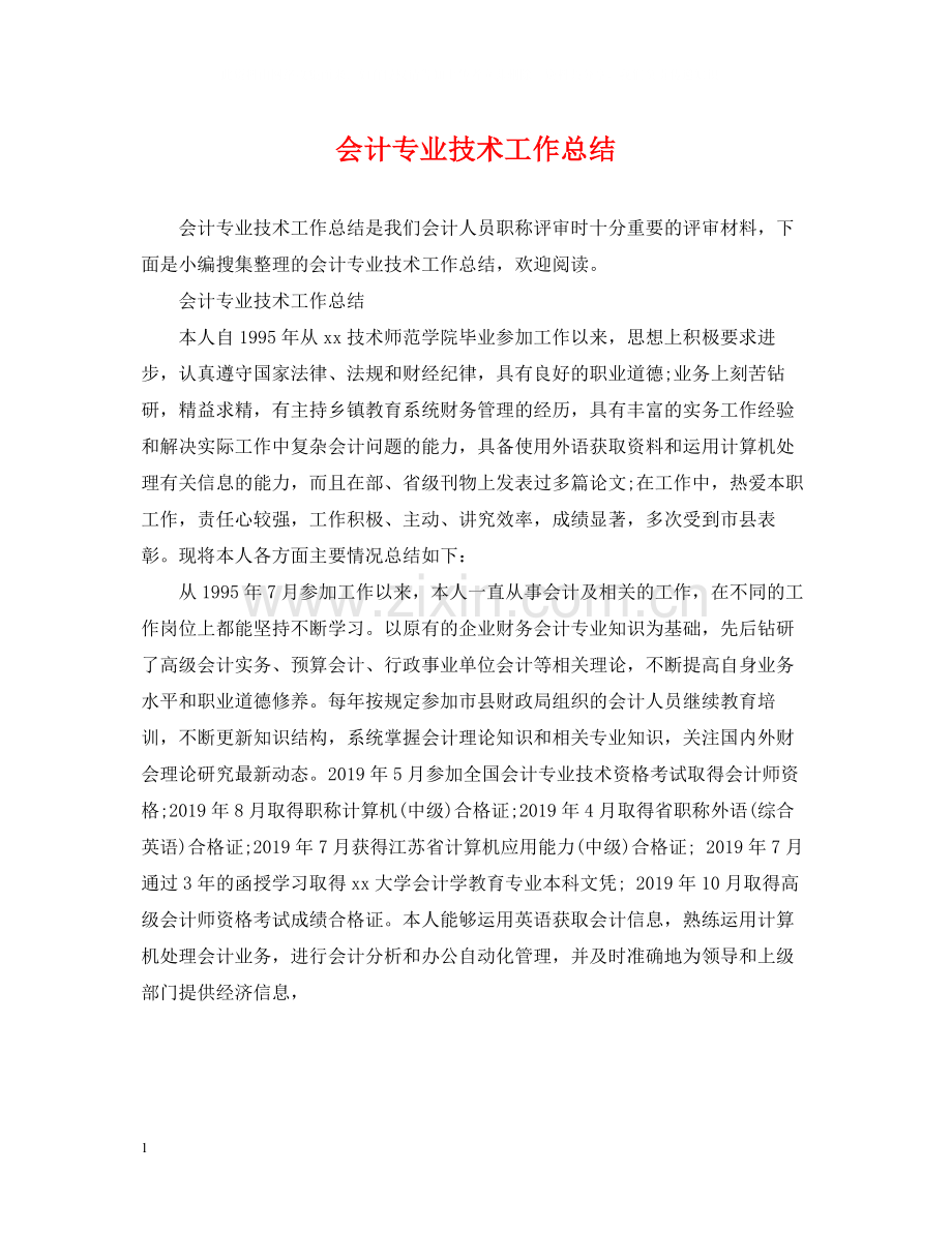 会计专业技术工作总结2.docx_第1页