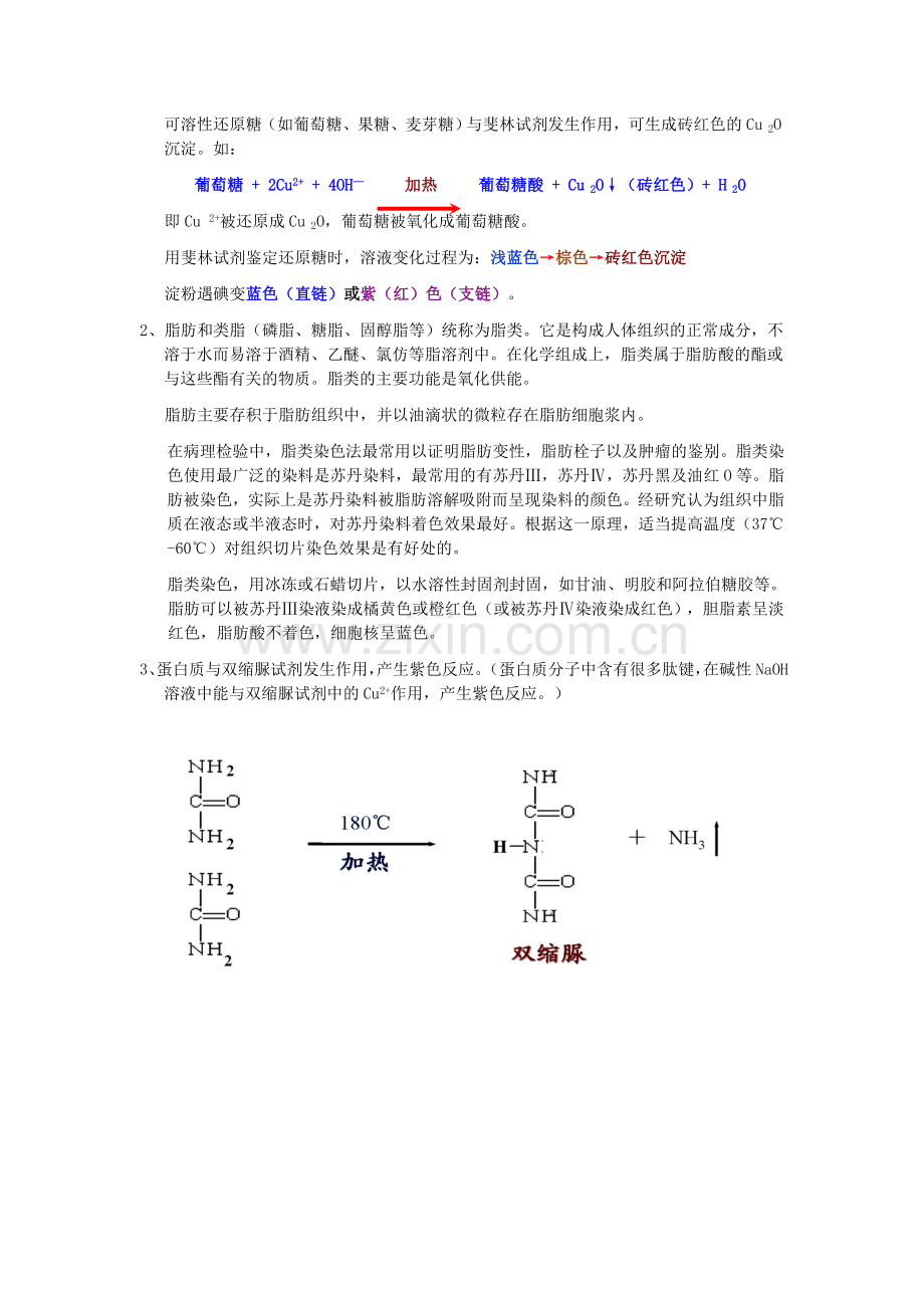 实验一使用高倍显微镜观察几种细胞.doc_第2页