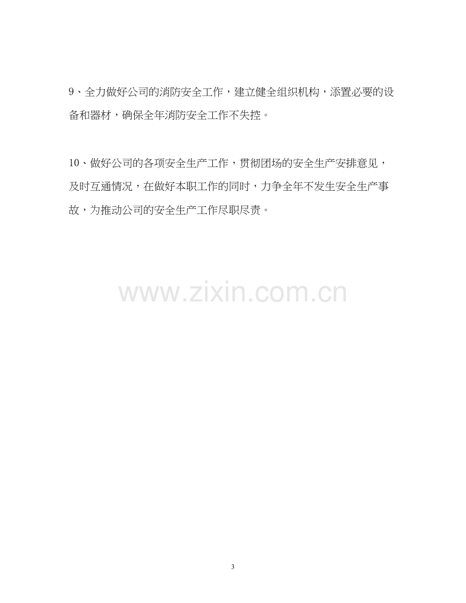 公司安全生产的工作计划.docx_第3页