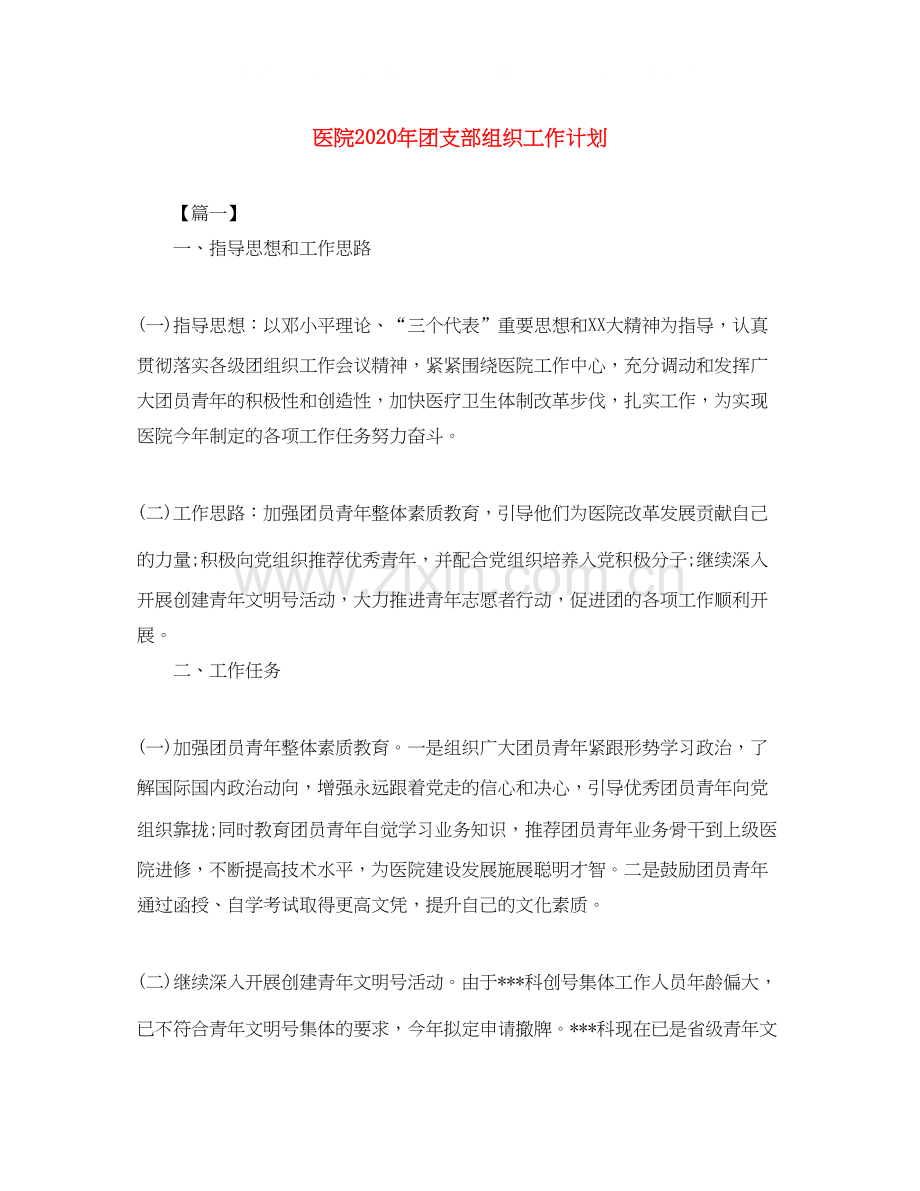 医院年团支部组织工作计划.docx_第1页