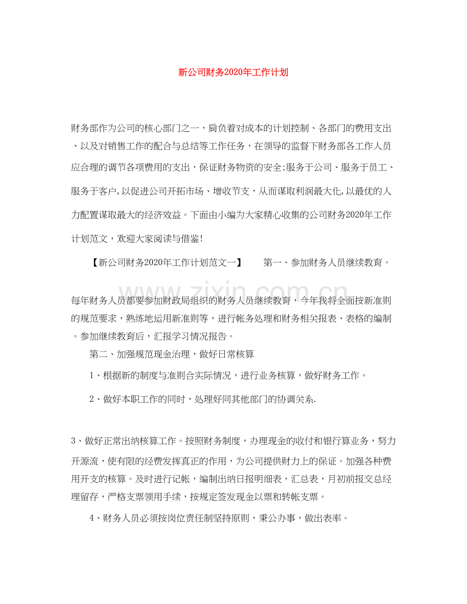 新公司财务年工作计划.docx_第1页