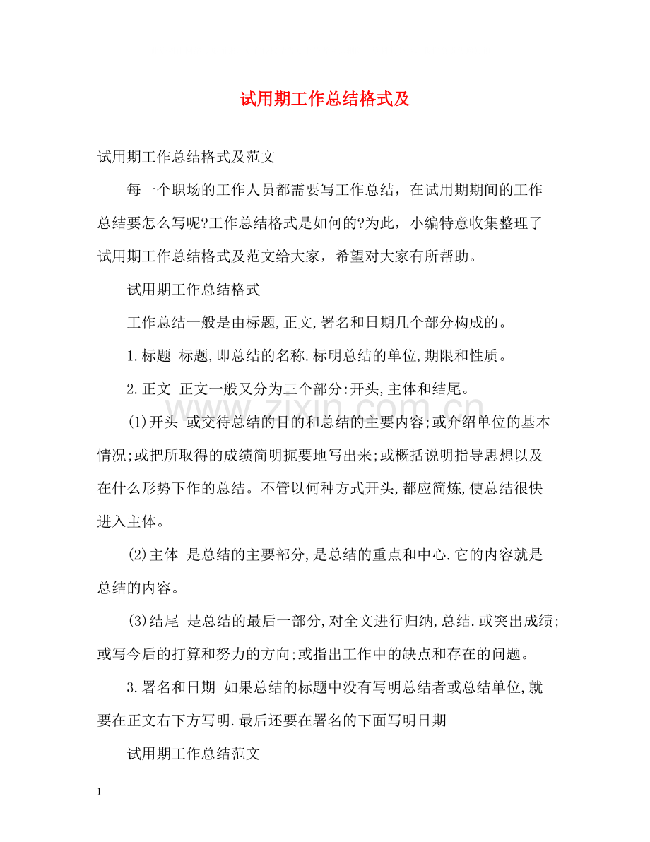 试用期工作总结格式及.docx_第1页