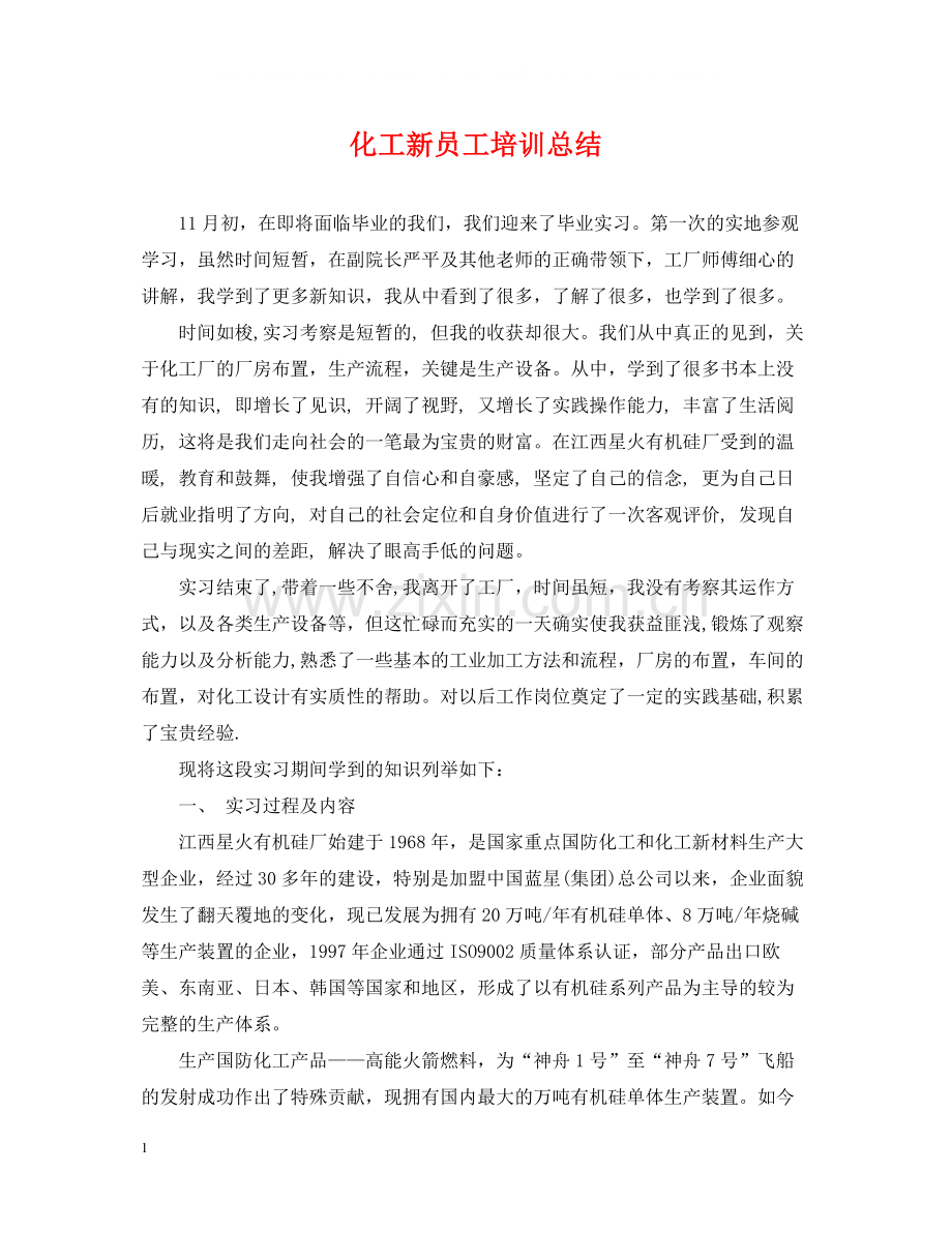 化工新员工培训总结.docx_第1页